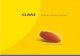GMI company profile 2012