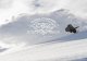 FW14 SALOMON SNOWBOARDS