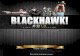 Blackhawk 2013 Catalog