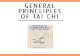 General Principles of Tai Chi - Erle Montaigue