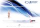 CAPP Catalogue 2011