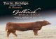 Twin Bridge Farms & Guests Gelbvieh Bull Sale 2012
