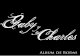 ALBUM DE BODAS - GABY Y CHARLES