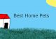 Best Home Pets