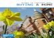 Buying a home spring 2015