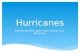Hurricanes Eduardo Ramirez, Ryan Harris, William Luna, Brian Luna.