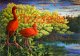 The Scarlet Ibis by Hurst Scarlet Ibis The Scarlet Ibis by Hurst Scarlet Ibis