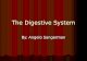 The Digestive System By: Angelo Sangerman. bibliography h h tttt tttt pppp :::: //// //// wwww wwww wwww.... bbbb mmmm cccc cccc.... eeee dddd uuuu
