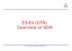06-E3-E4 CFA-Overview of SDH.pdf