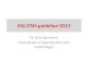 ESH-ESC HT Guideline 2013