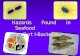 Bacterial Hazards in Seafoods