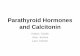 Parathyroid Hormones and Calcitonin