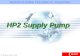 Denso HP2 PUMP Repair