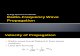 Radio-Frequency Wave Propagation