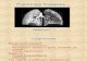 2. Pulmonary Diseases 2.pdf