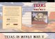 Texas Army Airfields History