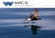 WCS Progress Report: 2015 Volume 2