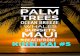 Kihei Kai #5 Offered for Sale-Best Beachfront Condo Buy on Maui, Hawaii