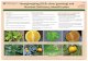 (HLB; citrus greening) and Nutrient Deficiency Identification