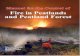 Manual for the Control of Fire in Peatlands and Peatland Forest