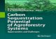 Carbon Sequestration Potential of Agroforestry Systems ...
