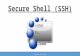 Secure Shell(ssh)
