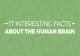 Infographic: 17 Interesting Facts About the Human Brain