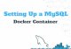 Setting up a MySQL Docker Container