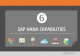6 SAP Hana Capabilities
