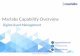 Marlabs Capabilities Overview: Digital Asset Management (DAM)