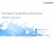 Marlabs Capabilities Overview: Salesforce.com Services