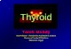 Anatomy, physiology and pathology of the thyroid gland