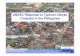 UNDAC Response to Typhoon Haiyan