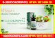Promo !!! K-Liquid Chlorophyll Halal HP WA 0811 4494 181