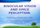 Binocular vision and vision perception