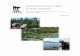 Minnesota DNR Lake Plant Survey Manual 2016