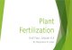 Unit 4, Lesson 4.3 - Plant Fertilization