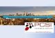PCSI Consultants LLC dba CRVELIZ Consultants LLC