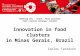 TCI 2016 Innovation in food clusters in Minas Gerais, Brazil