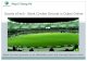 Sports e tech   book cricket ground in dubai online