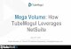 SuiteWorld16: Mega Volume - How TubeMogul Leverages NetSuite