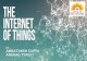 Internet Of Things (IOT)ppt