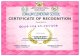 Certificates of Recognition (Special Awards)