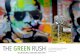 The Green Rush: recreational cannabis industry