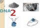 Preparation of cremation Diamonds (DNA 2 DIAMONDS)
