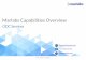 Marlabs Capabilities Overview: ODC Services