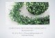 Holiday Decorating with Boxwood PDF from Oriental Trading