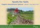 Spoils for soils - Christine Brown