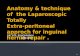 Anatomy & technique  of  the laparoscopic  totally                    extra peritoneal