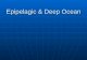 Epipelagic  Deep Ocean. Pelagic Ocean Zones (open ocean) Epipelagic- 0 to 200m (photic zone) Epipelagic- 0 to 200m (photic zone) Mesopelagic- 200 to.
